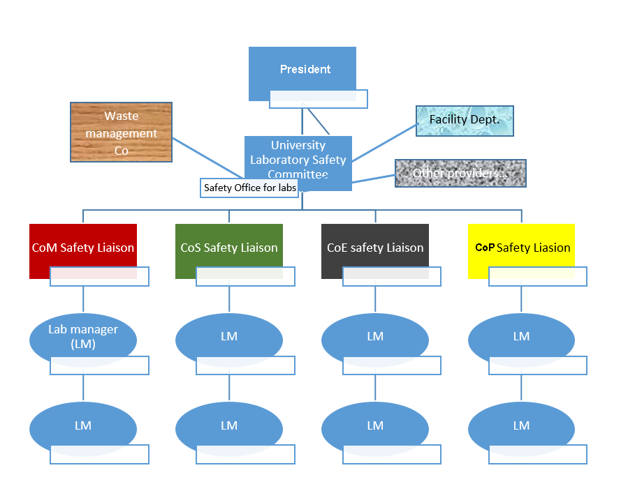 Organization Chart